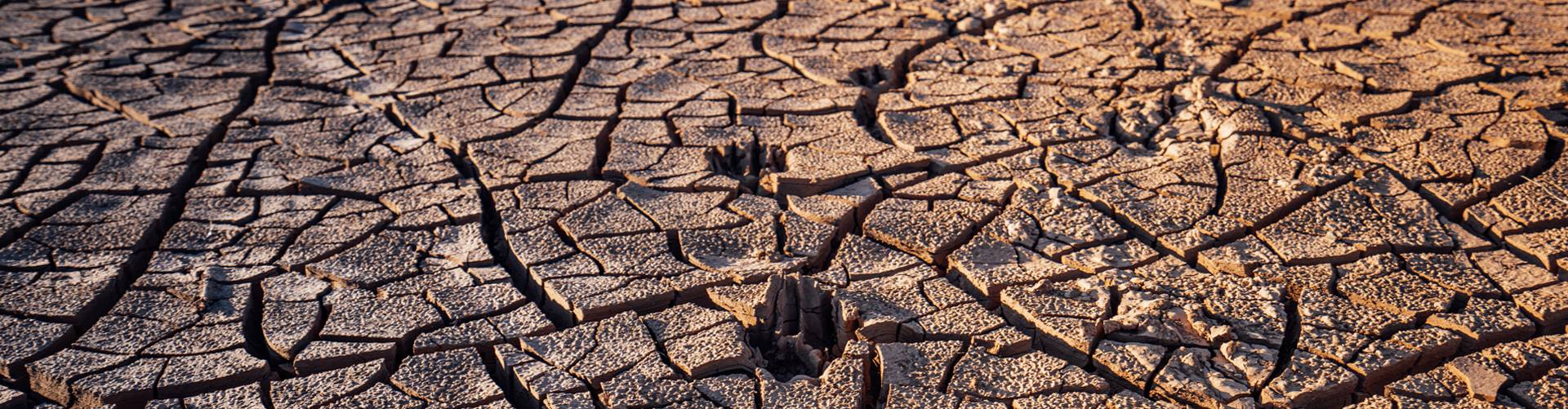 A close up of the ground with mud cracks