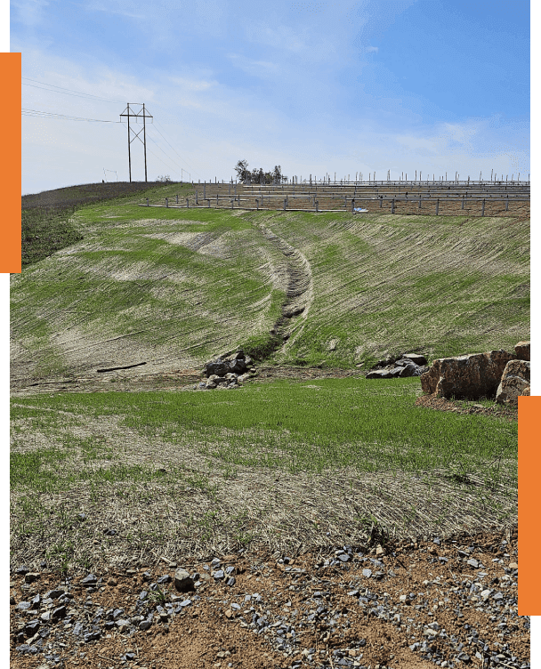 A grassy hill with power lines in the background.