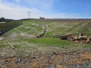 Grass growing on a hillside near rocks.