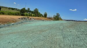 Green grass seed on gravel ground.