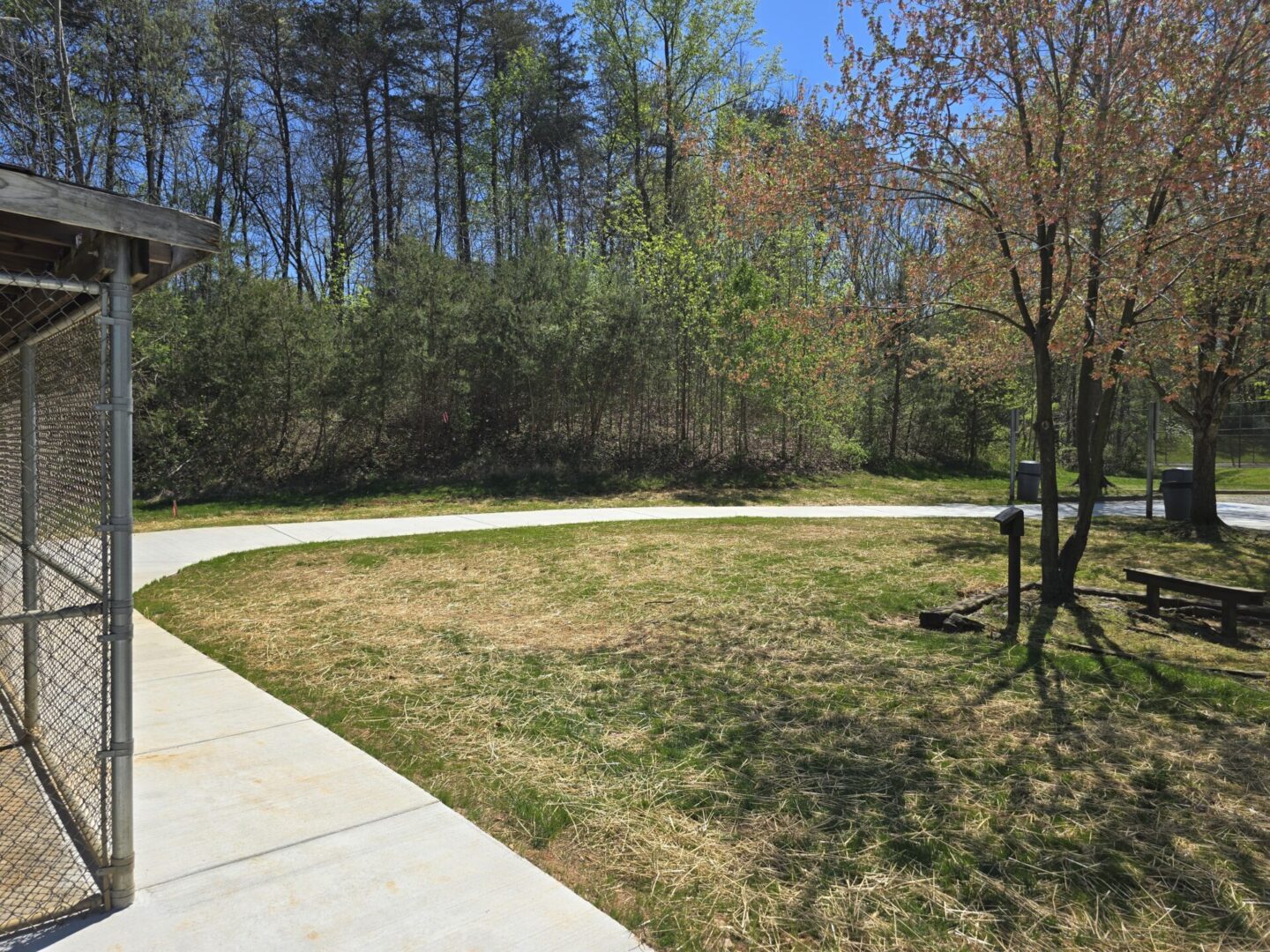 Concrete path and grassy field in woods.