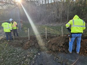 Three workers digging a trench in the woods.