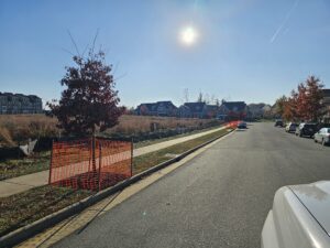 Suburban street with houses and a tree.