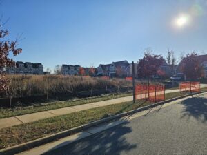 Suburban neighborhood with orange fencing.